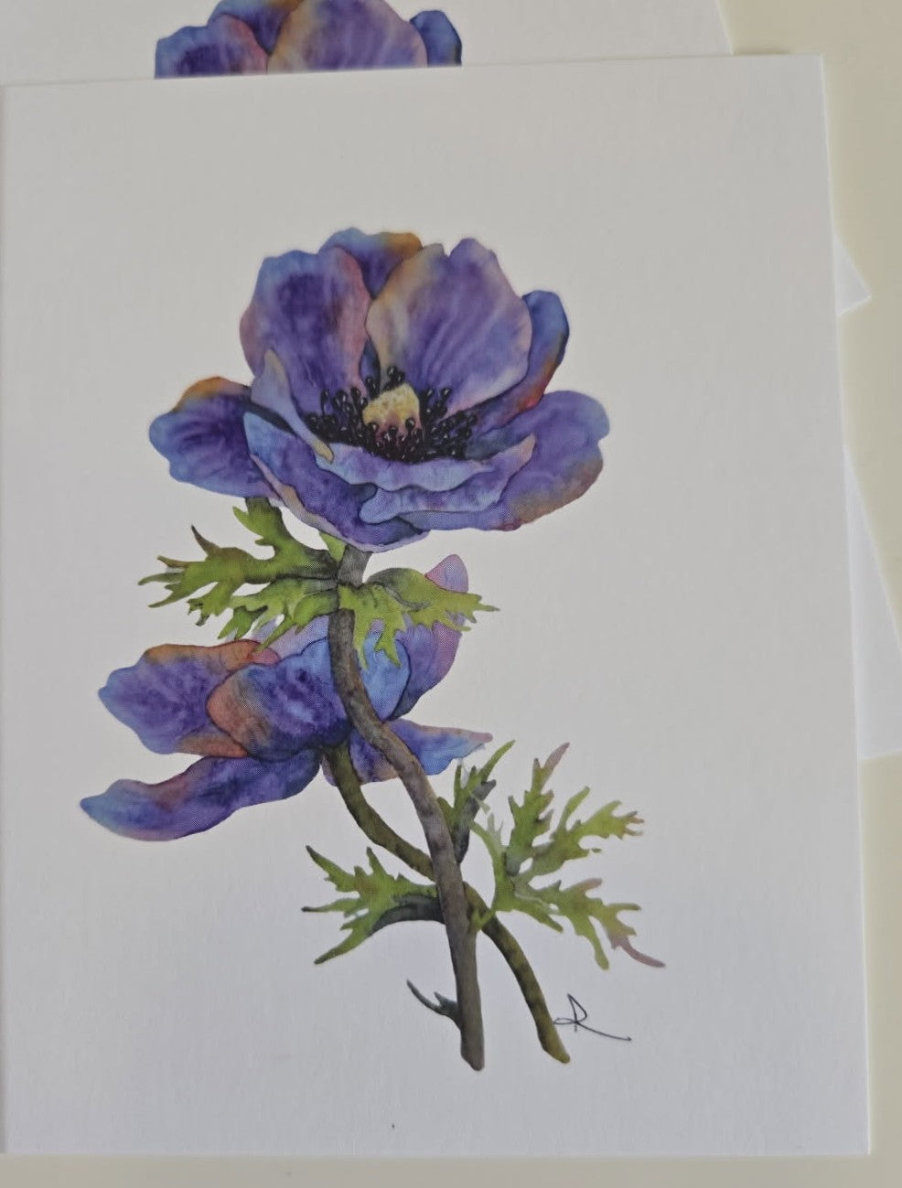 Anemone Notecard Set (3)