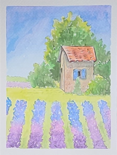 Lavender in Provence