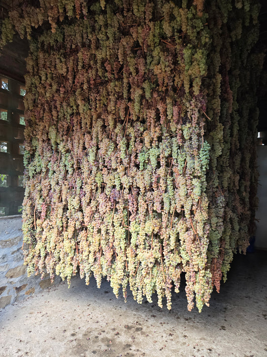 Vin Santo