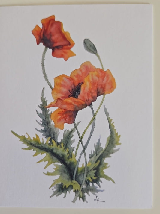 Poppies Notecard Set (3)