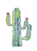 Saguaro Notecard Set (3)