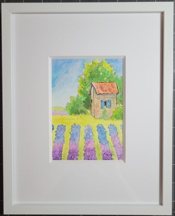 Lavender in Provence