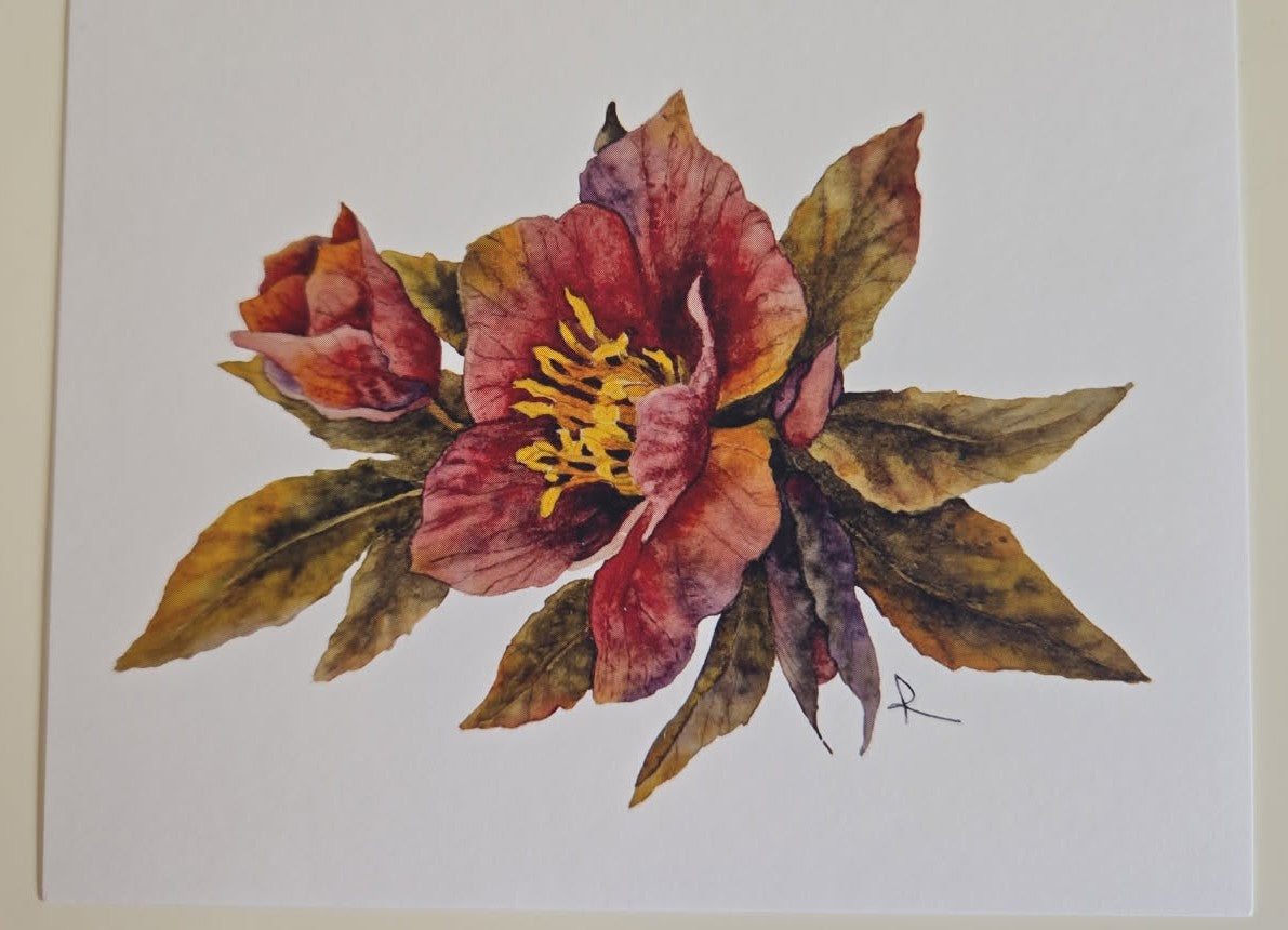 Hellebore Notecard Set (3)