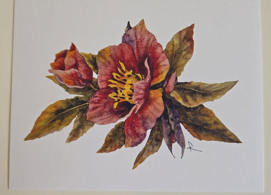 Hellebore Notecard Set (3)